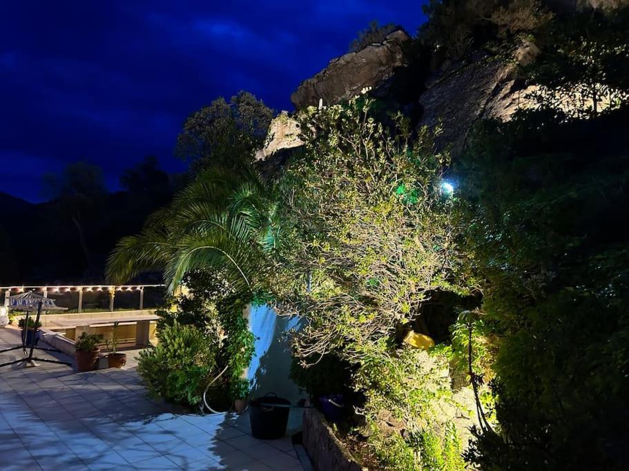 Apartament Casaleo Harry - Roses / Costa Brava Zewnętrze zdjęcie